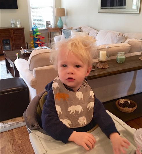 Chase Bed Head 19 mos