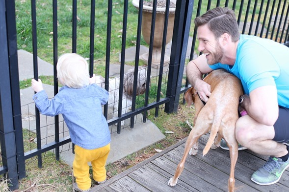 Family Walk with Sadie