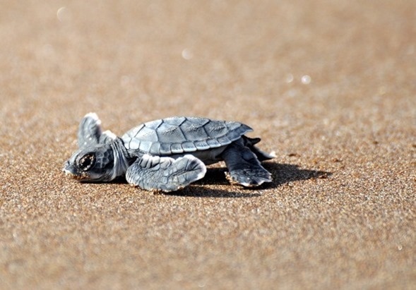 Galapagos Islands Vacation Recap