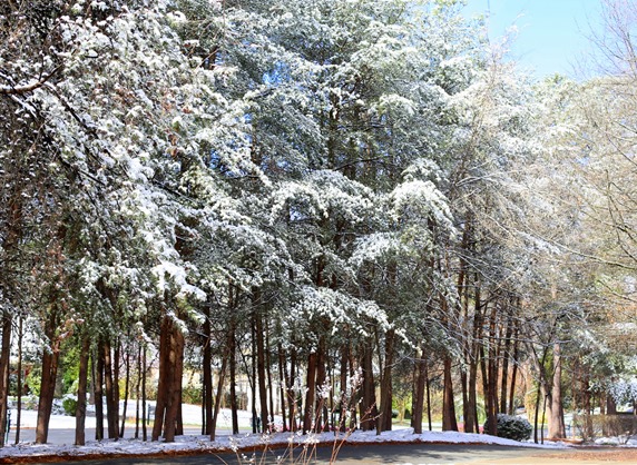 March 2017 Snow Charlotte