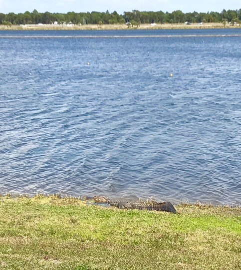 Nathan Benderson Park Sarasota