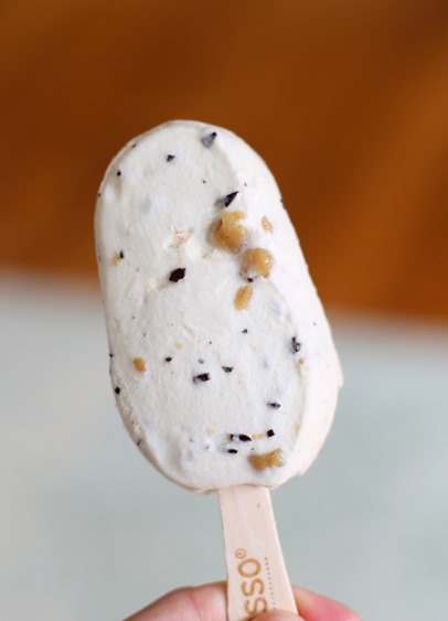 Yasso Choc Chip Greek Yogurt Bar