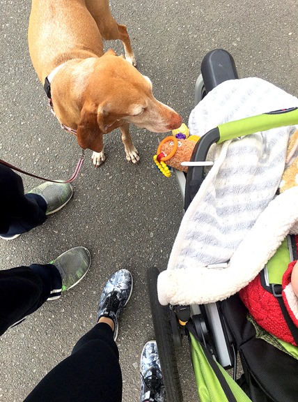 family walk march 2017