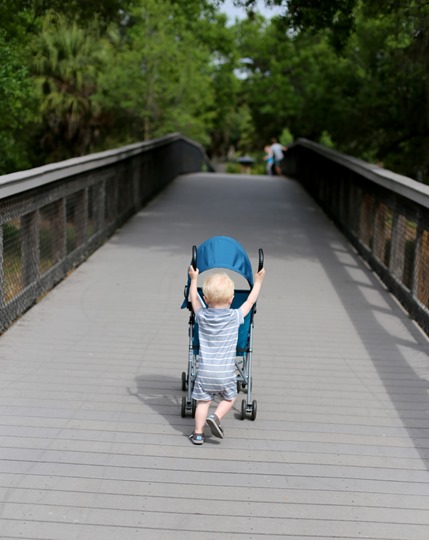 Chase Stroller 20 months