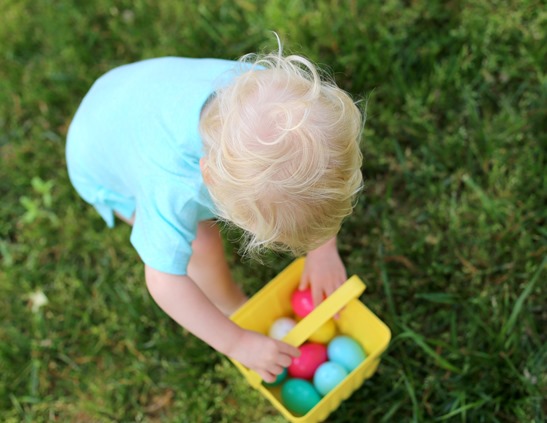 Egg Hunt Toddler