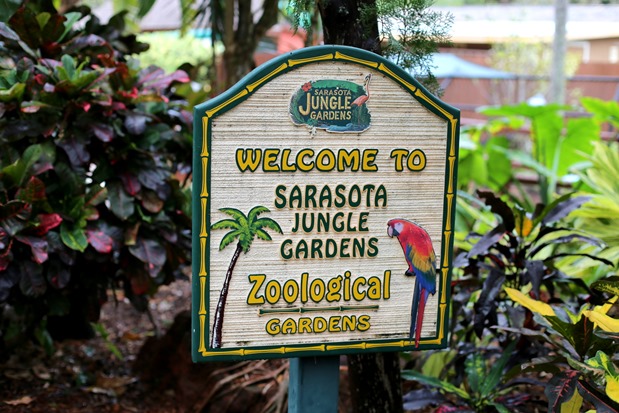 Jungle Gardens