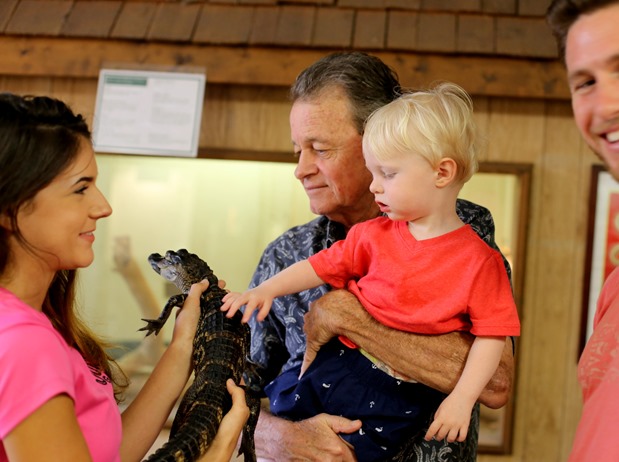 baby alligator jungle gardens