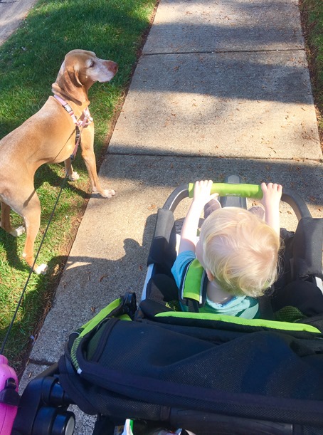 sadie walk