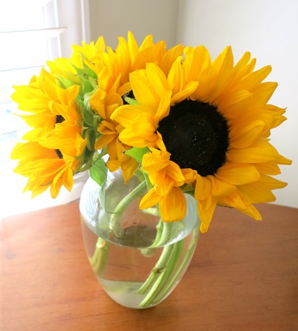 sunflowers