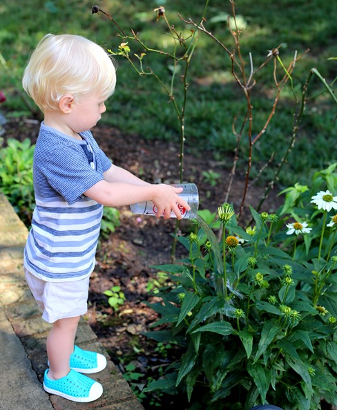 Native Toddler Shoes