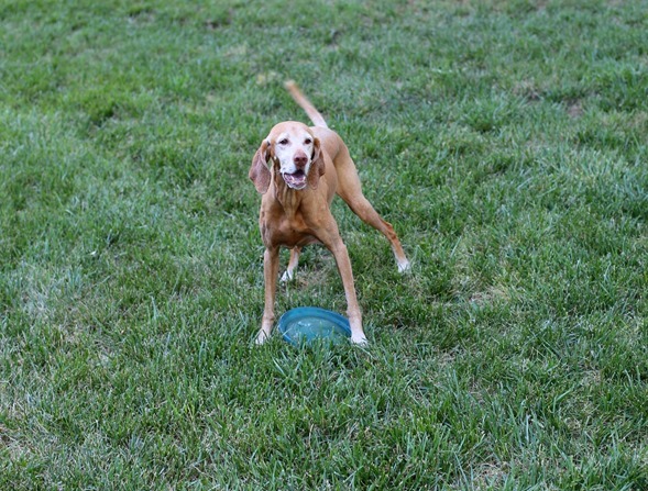 Sadie Fetch