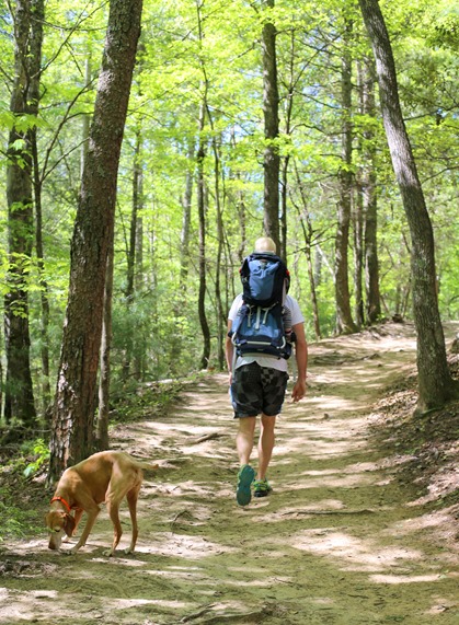 Stone Mountain NC Hike Chase 21 months