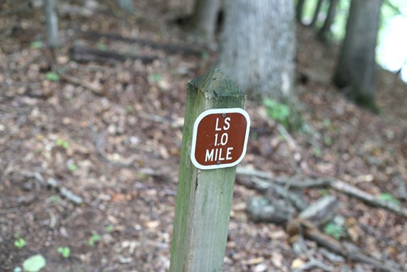 LAke Shore Trail LKN