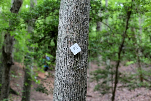 Trail Markers