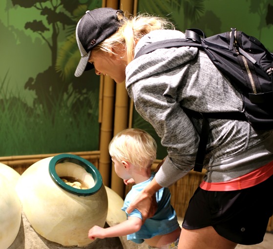 concord sea life aquarium