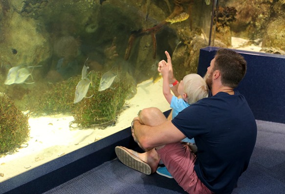 discovery place charlotte