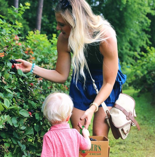Blackberry Picking Charlotte