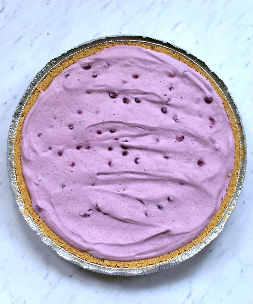 Blueberry Yogurt Pie