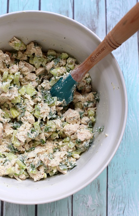 Easy Greek Yogurt Rotisserie Chicken Salad Easy Greek Yogurt Rotisserie Chicken Salad