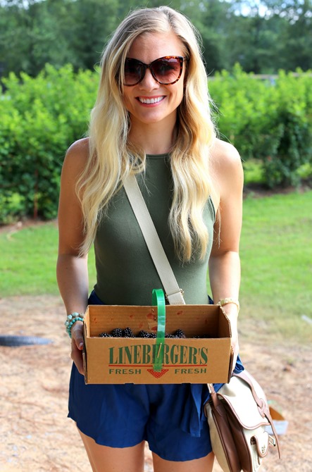 blackberry picking in charlotte, nc