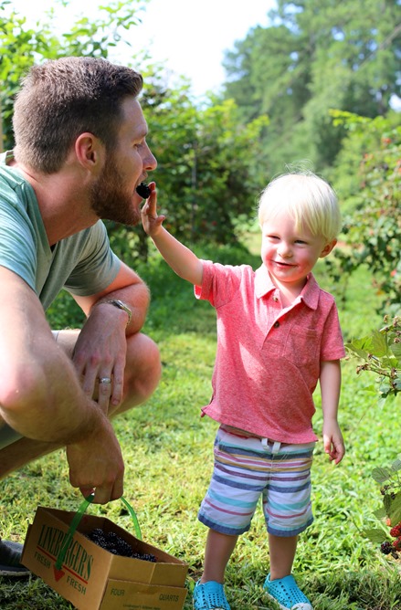 ryan chase blackberry picking