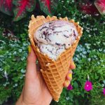 Kilwin's Best Ice Cream Flavors Kilwin's Best Ice Cream Flavors