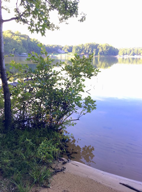 Latta Plantation