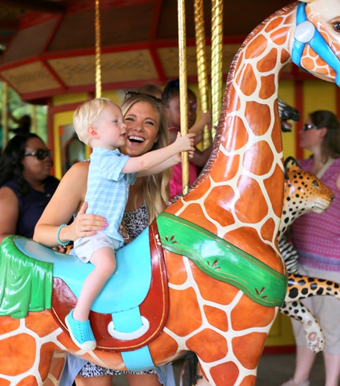 giraffe merry go round