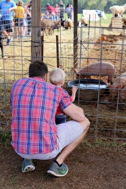 Carrigan Farms Animals