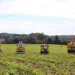Minion Hay Minion Hay