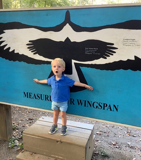 raptor center