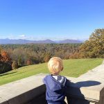 Biltmore Estate Mountain Views