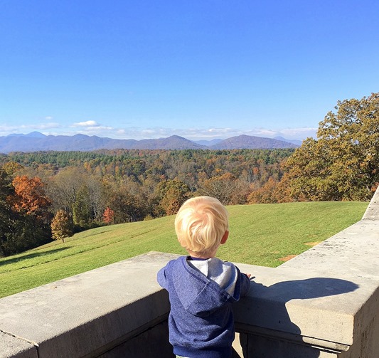 Biltmore Estate Mountain Views