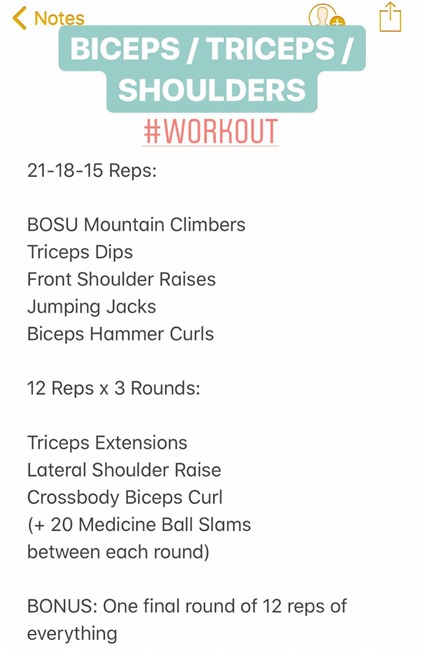 Biceps Triceps Shoulders Workout