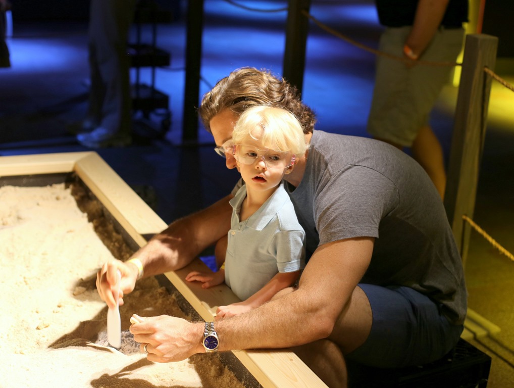 discovery place dinosaur exhibit