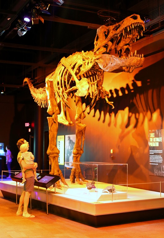 discovery place dinosaurs