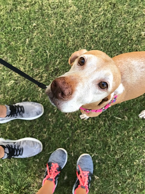 sadie walk