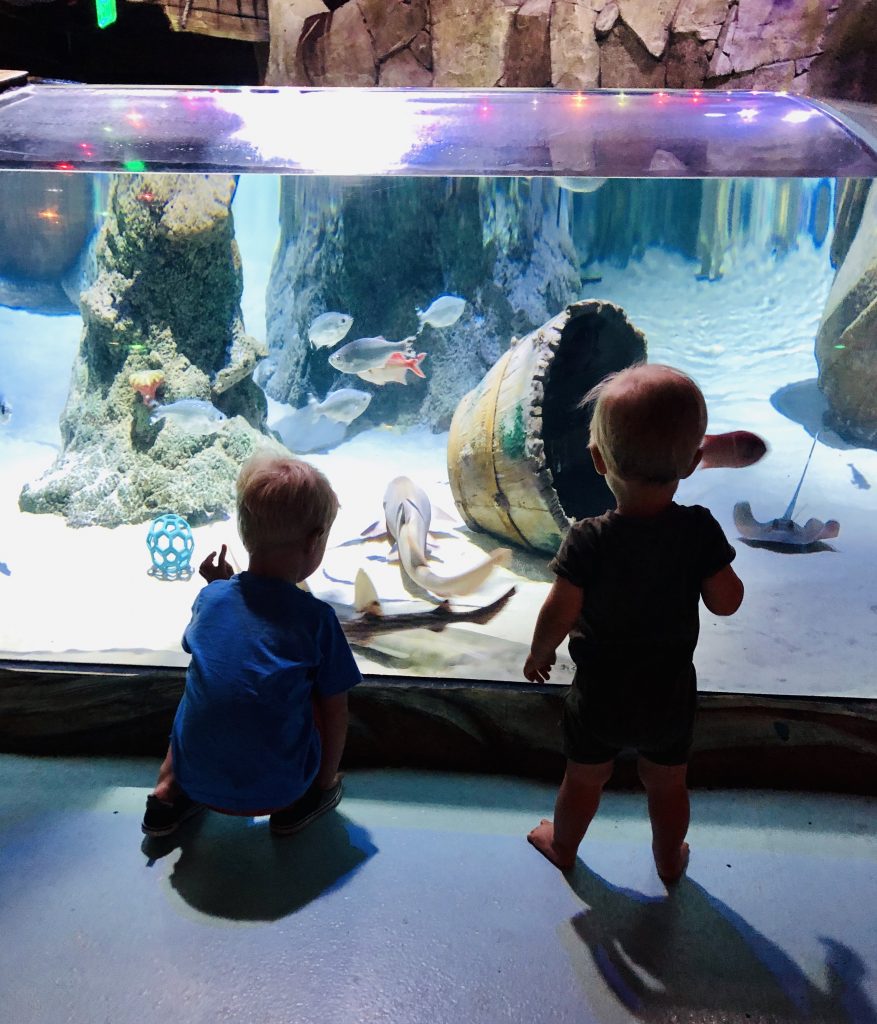 SEA Life Aquarium Concord NC