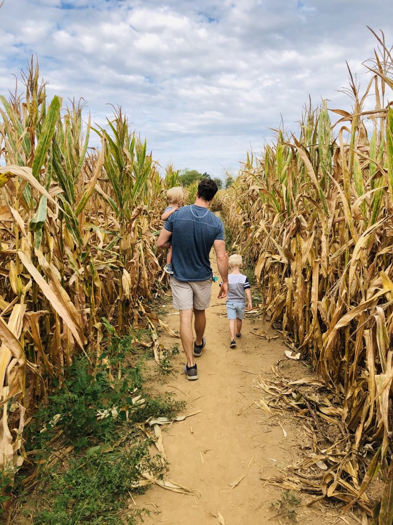 alpha & omega corn maze