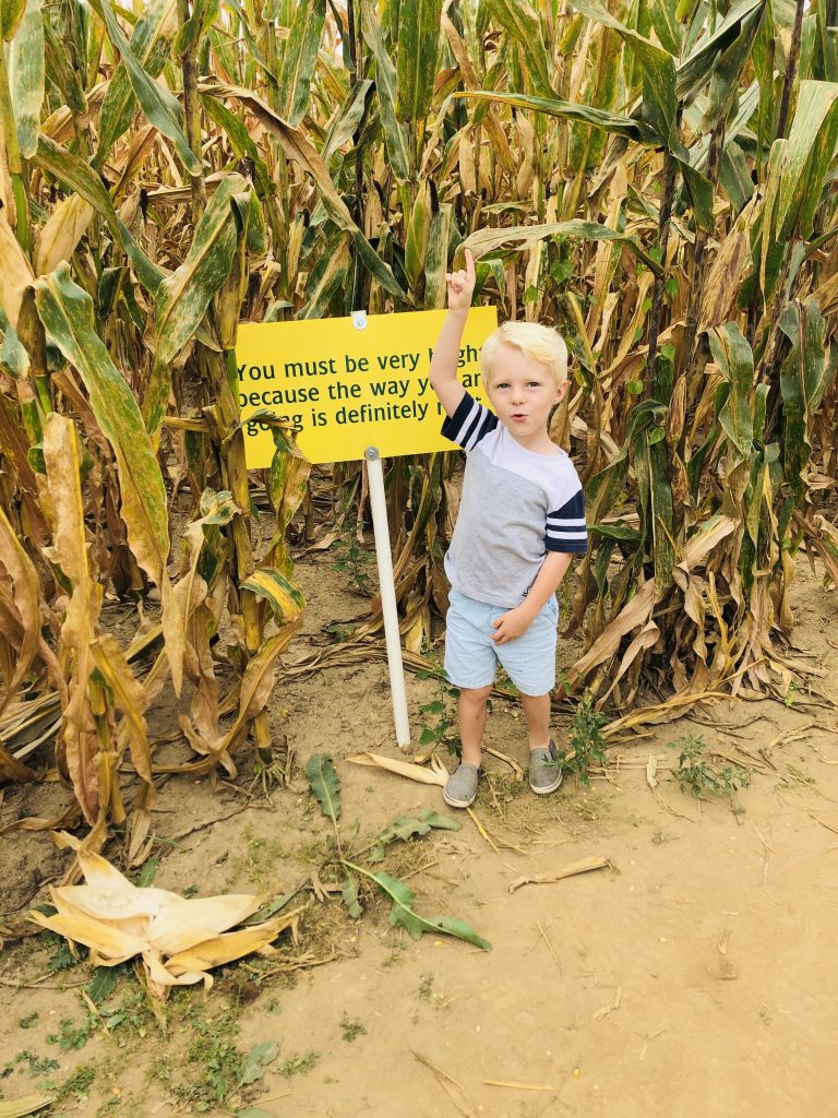 alpha & omega corn maze