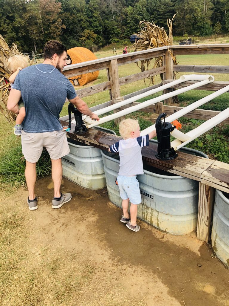 alpha & omega corn maze