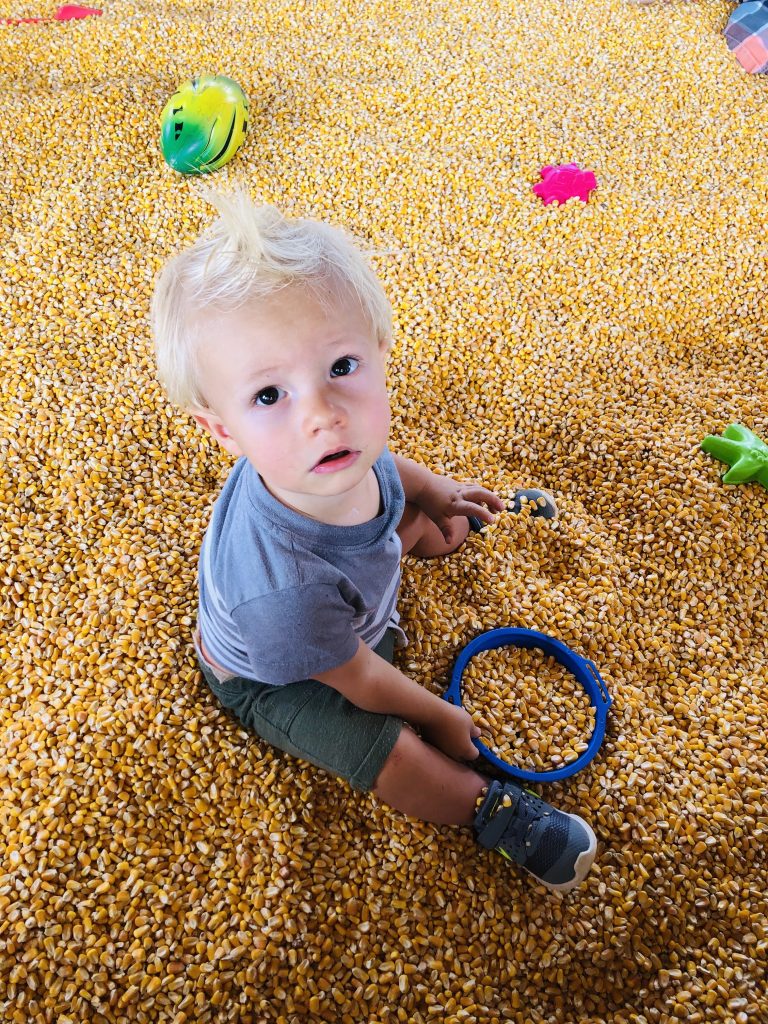 alpha & omega corn maze