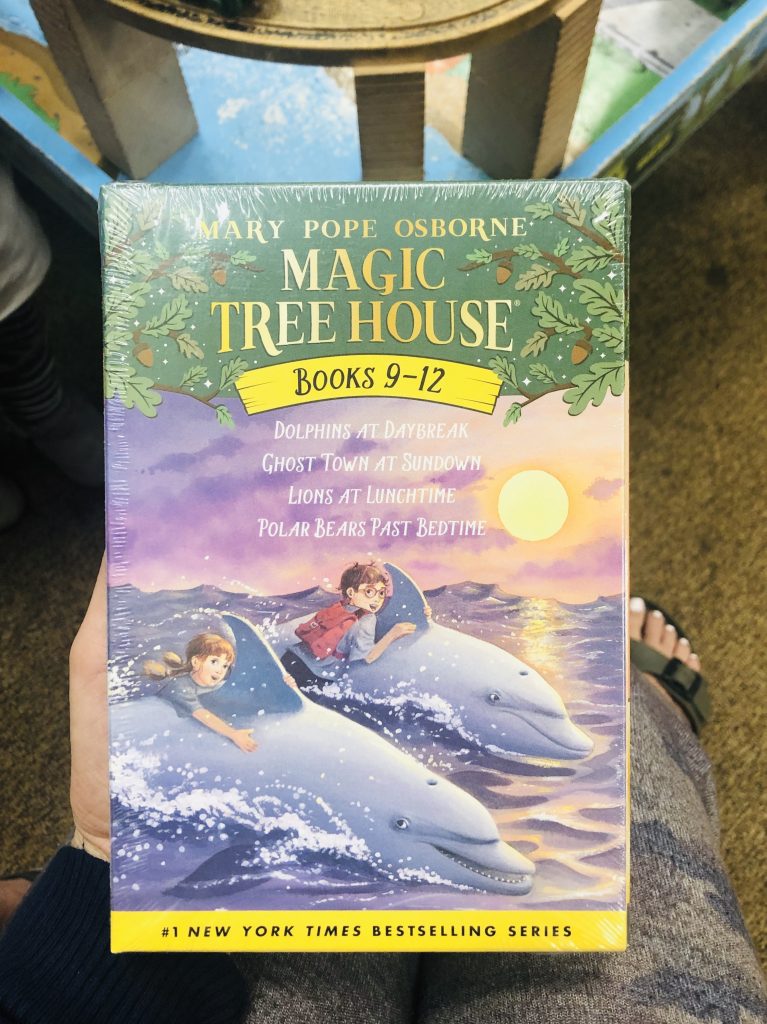 Magic Tree House books