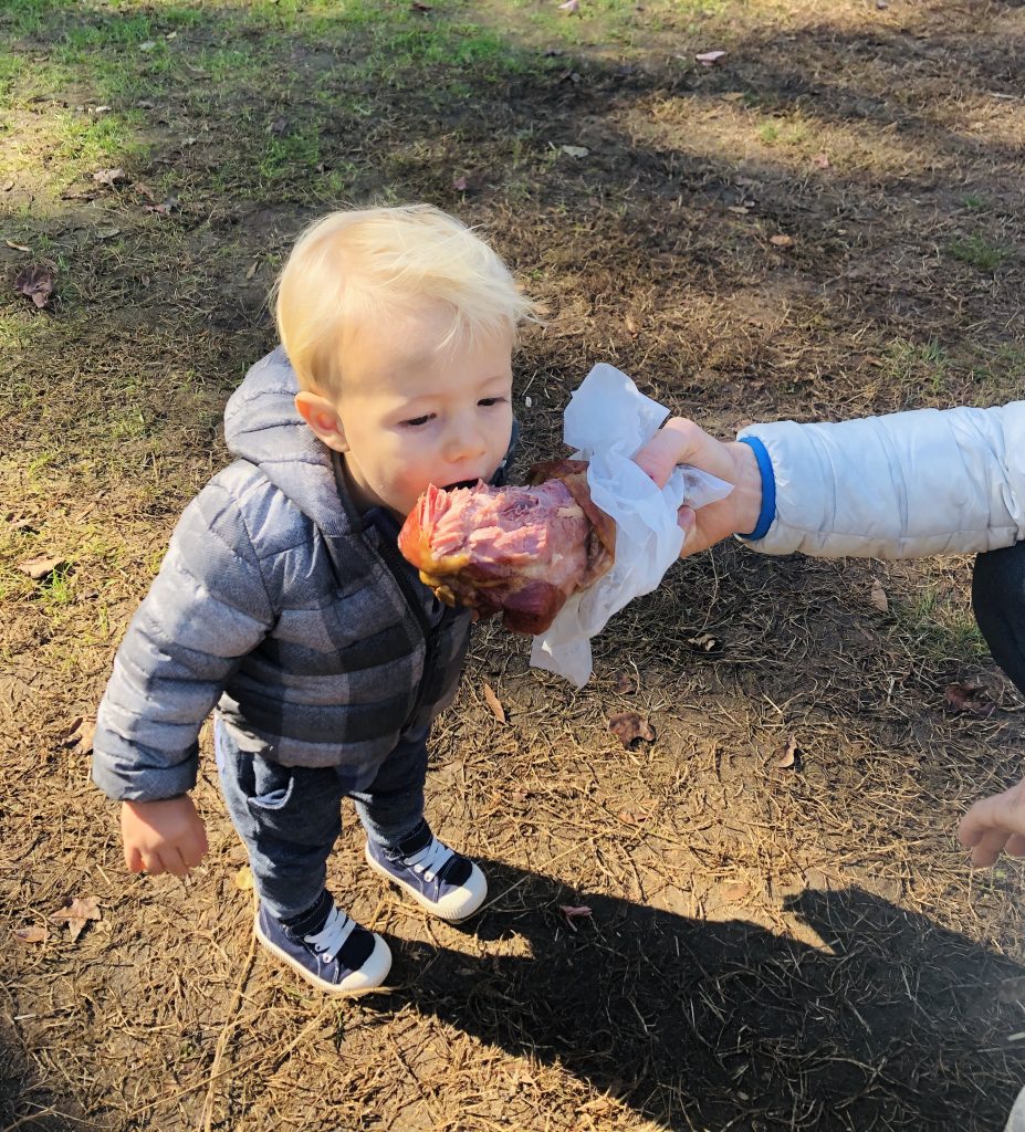Carolina Renaissance Festival