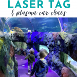 Sea Life, Laser Tag and Plasma Car Chaos