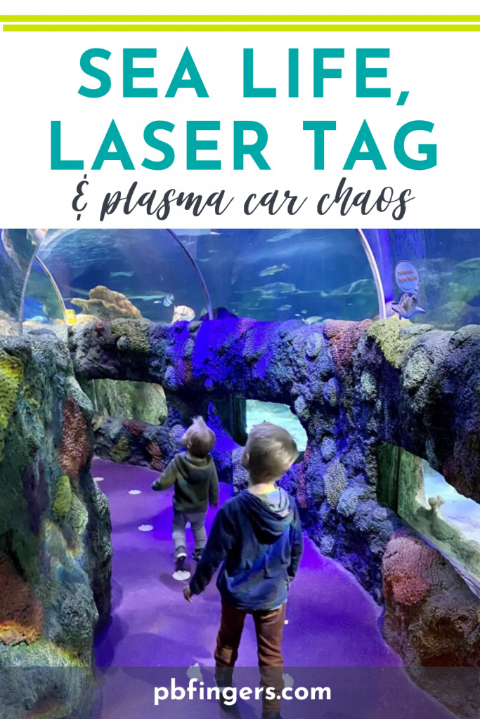 Sea Life, Laser Tag and Plasma Car Chaos