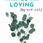 Things I'm Loving Friday #311