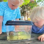 chase ryder tadpoles