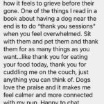 thank you sessions with dog