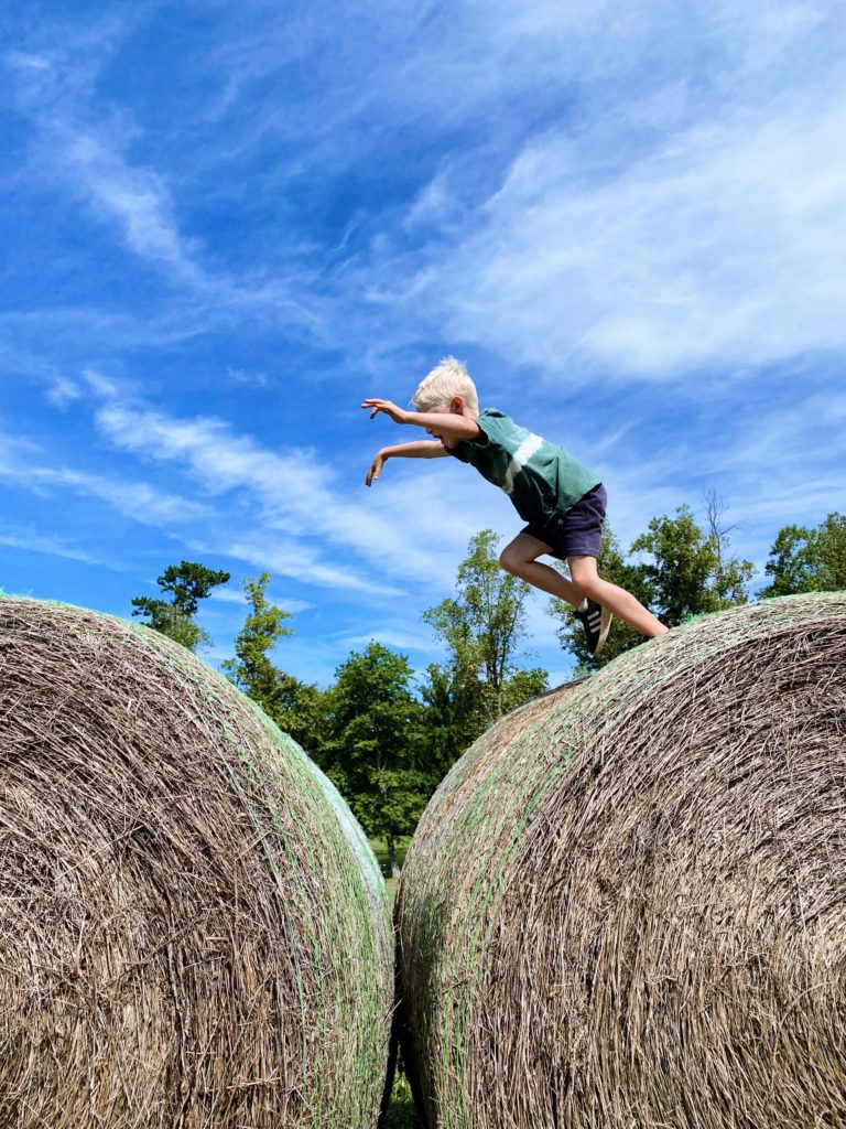 Alpha & Omega Corn Maze day trip